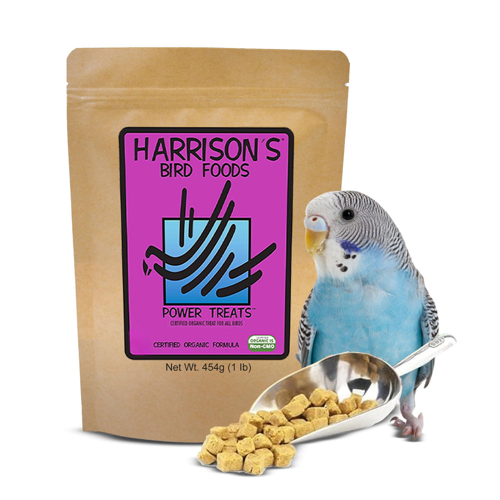 Harrison's Power Treats promote healthy plumage and coat condition