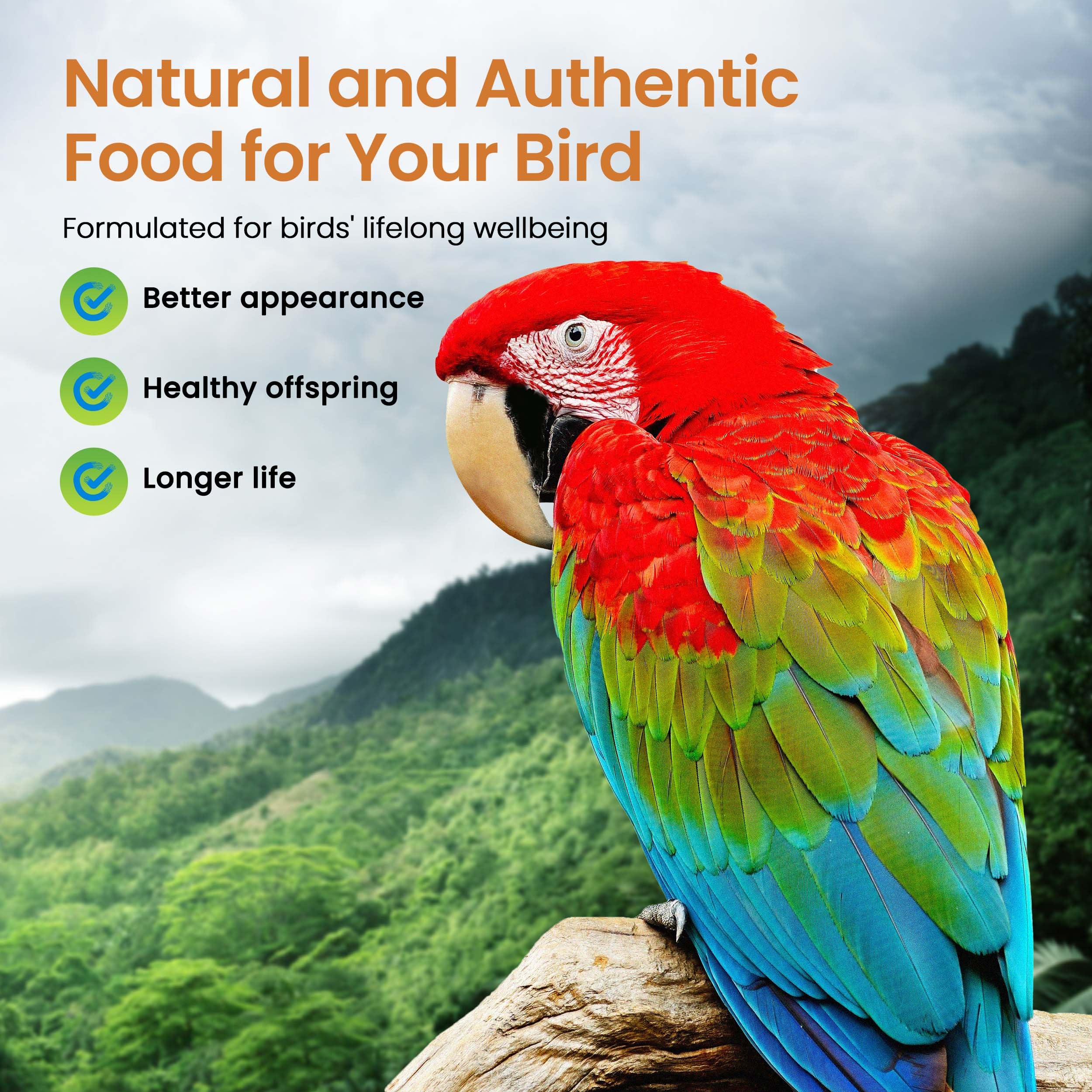 Harrison's year-round feeding for large birds; stable nutrition across seasons.