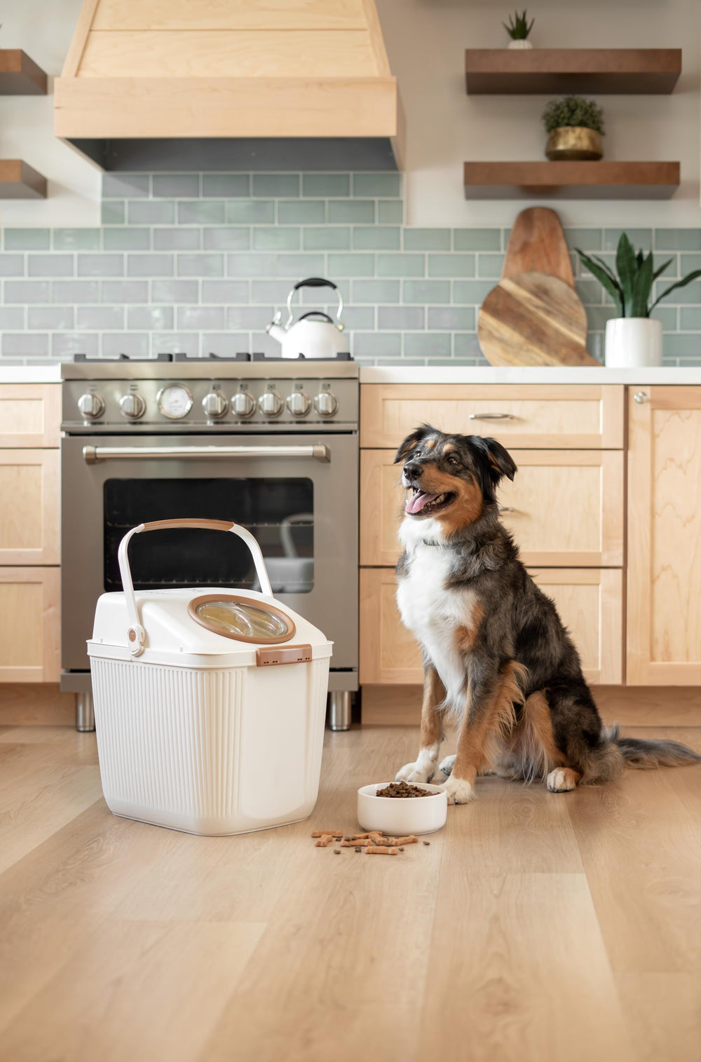 Harry Barker dry kibble storage for dog and cat food in a sleek, space-saving container.