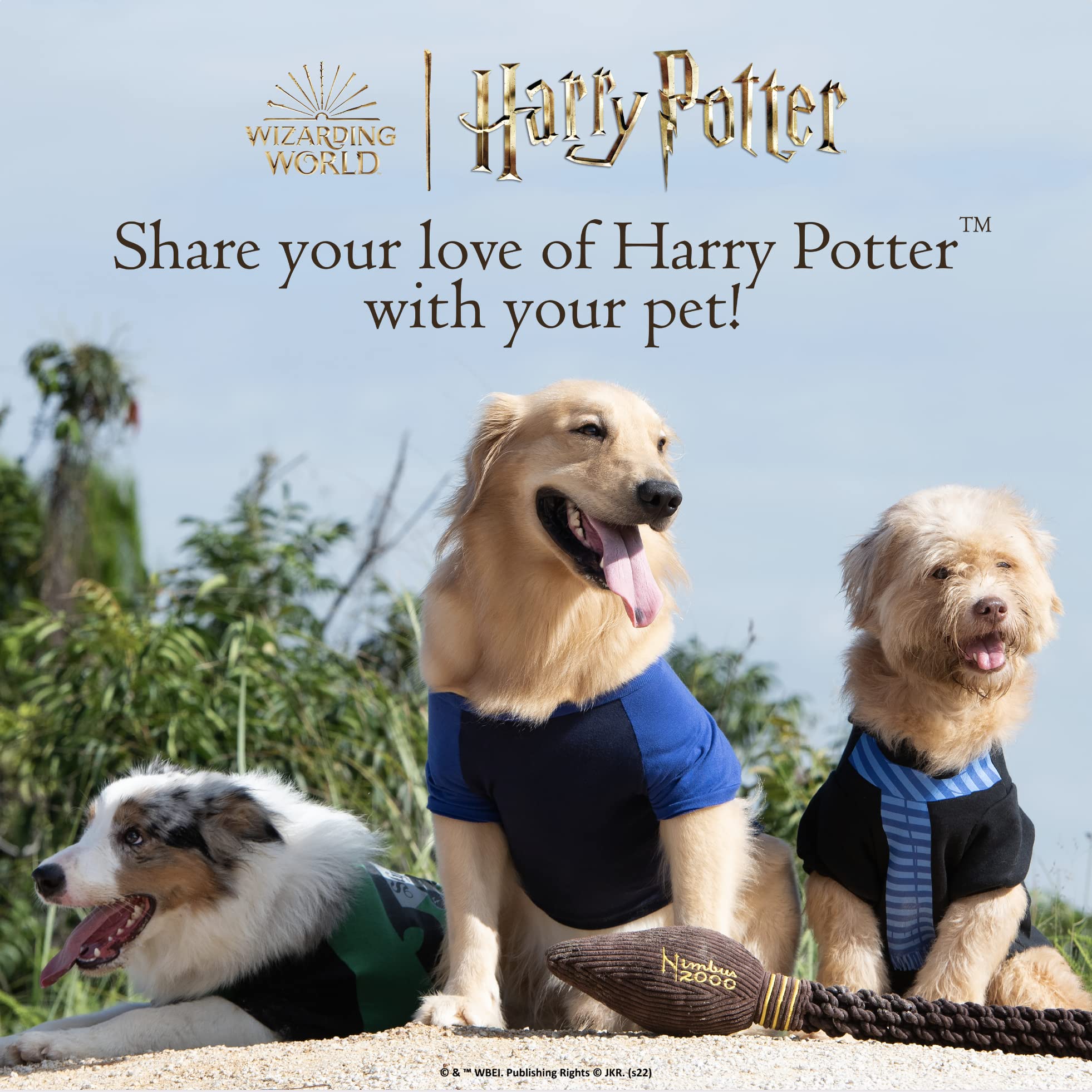 Harry Potter official licensed dog toy adds magical flair to daily fetch