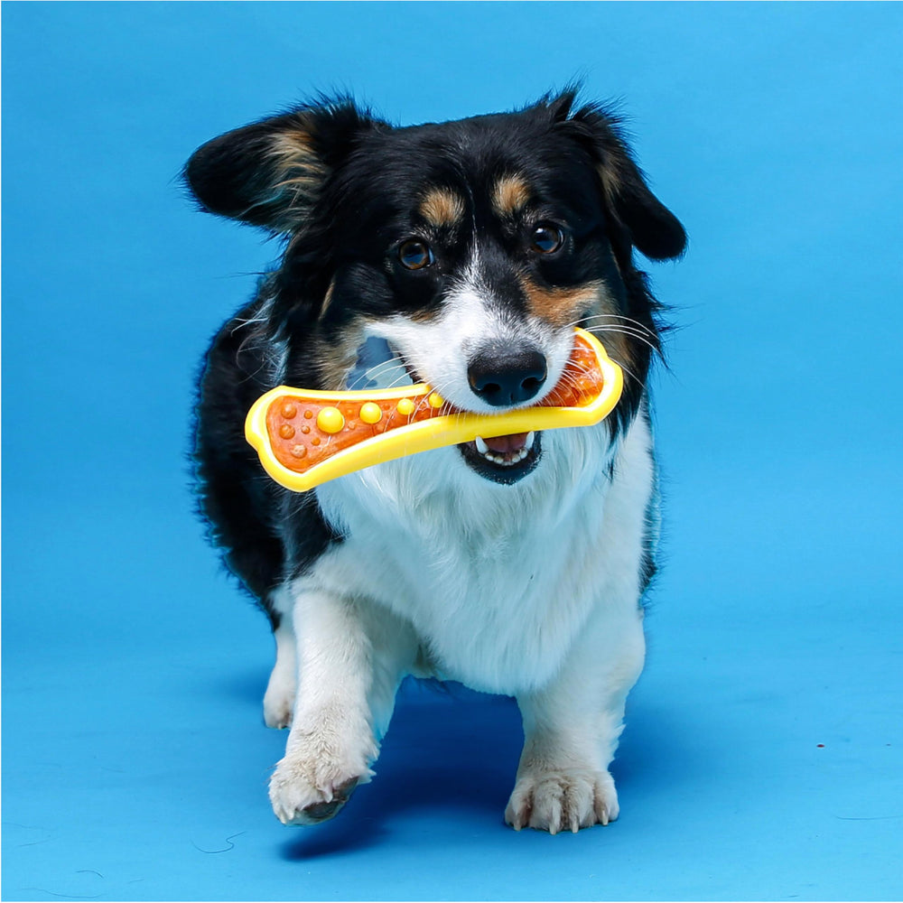Hartz Chew 'n Clean Dental Duo dog chewing action in play