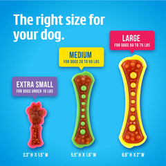 Hartz Chew 'n Clean Dental Duo large size for bigger dogs watching chewing