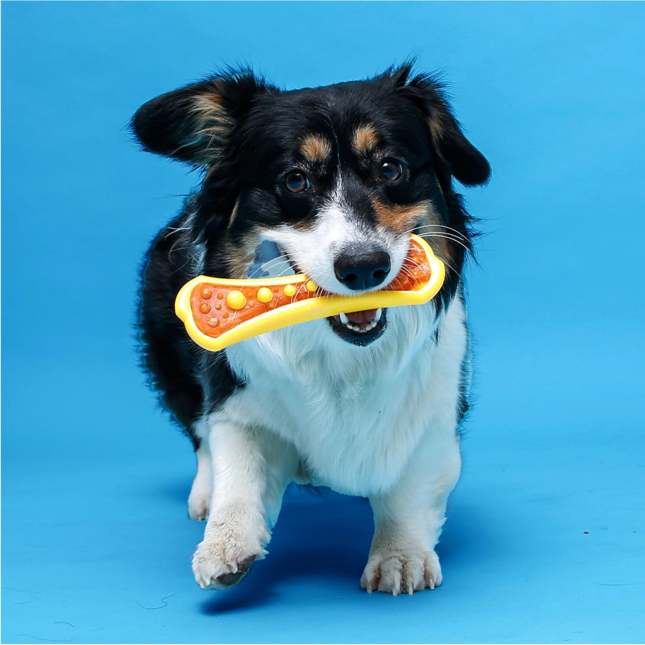 Hartz Chew ’n Clean medium size pack for standard dogs.