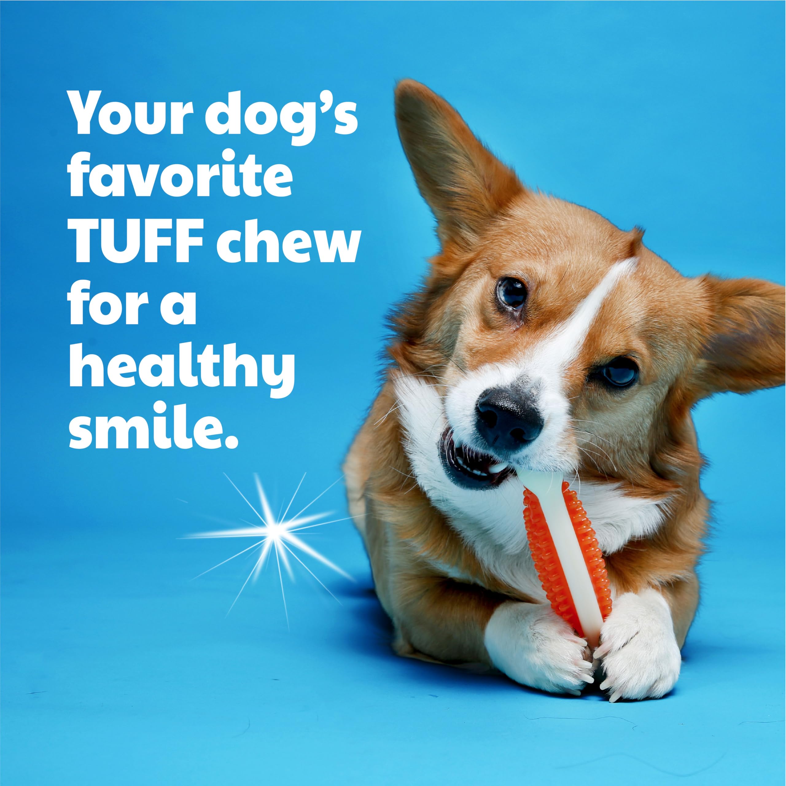 Puppy teething session with Hartz Chew n Clean toy
