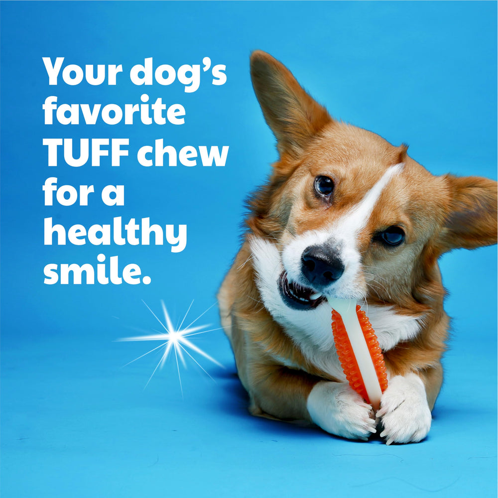 Puppy teething session with Hartz Chew n Clean toy