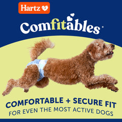 Hartz Comfitables diaper worn on a tiny dog showing secure fit