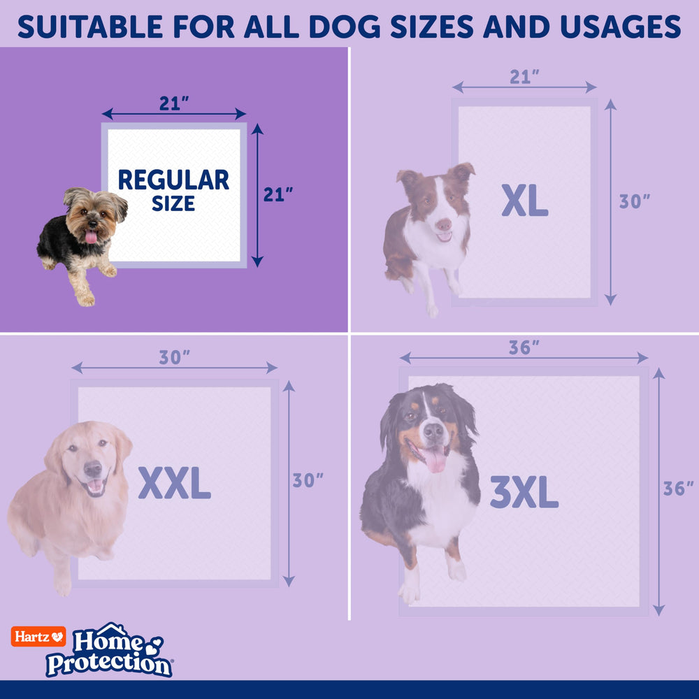 Ideal for potty training and indoor use during training.
