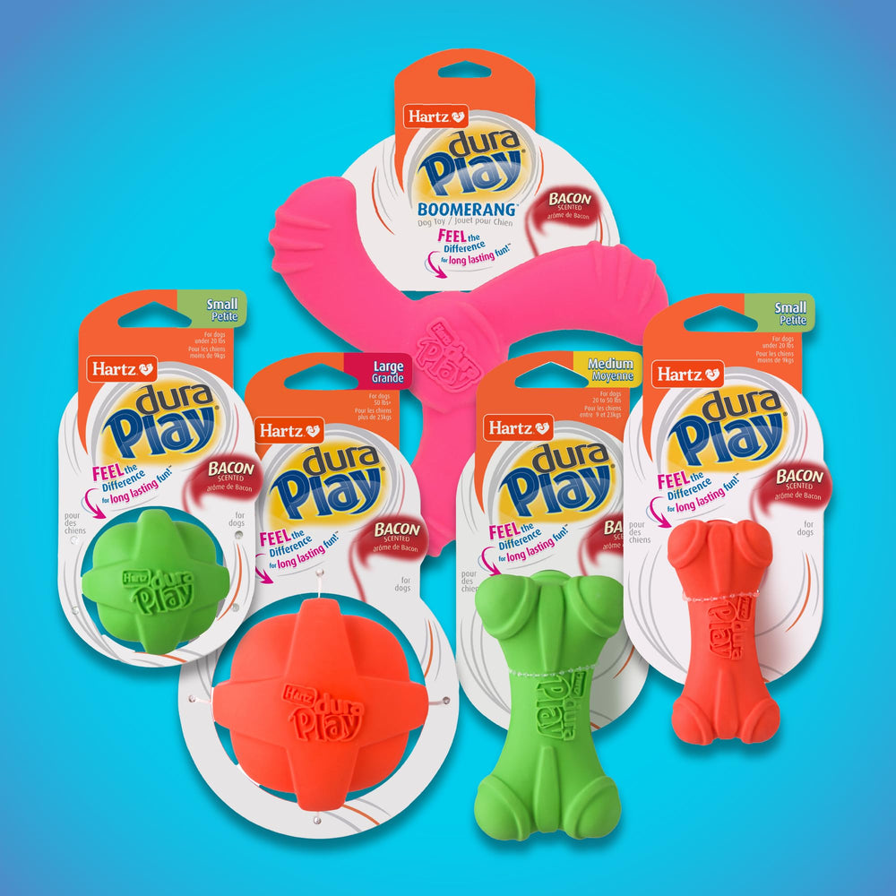 Hartz DuraPlay bacon scented toy entices curious play.