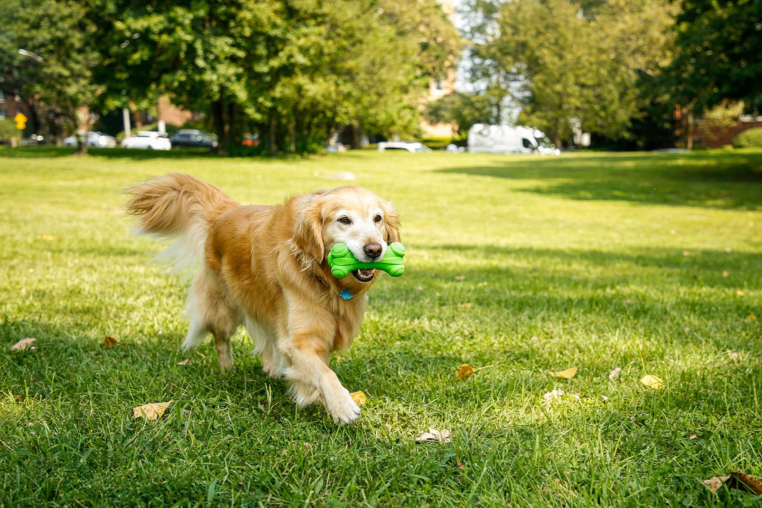 Hartz DuraPlay ball squeaky toy versatile for fetch and chew