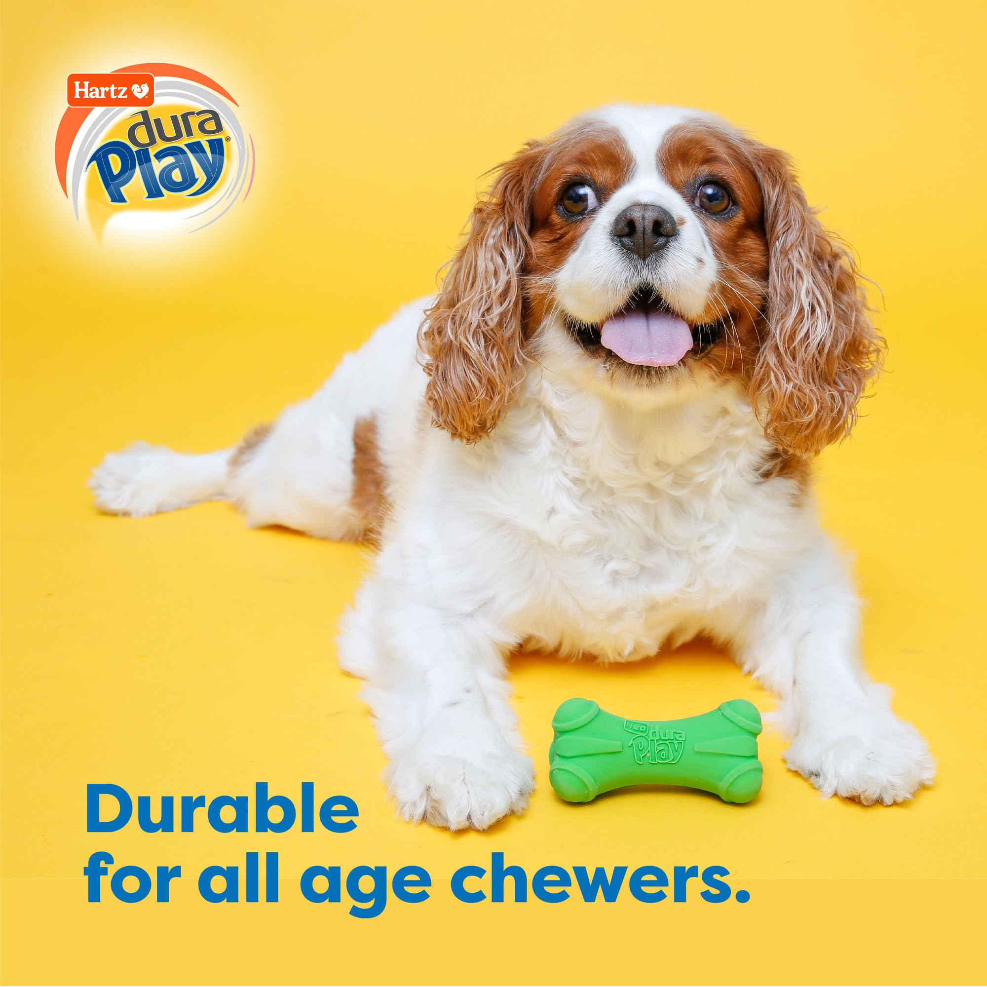 Hartz DuraPlay ball toy squeaker for tossing and catching.