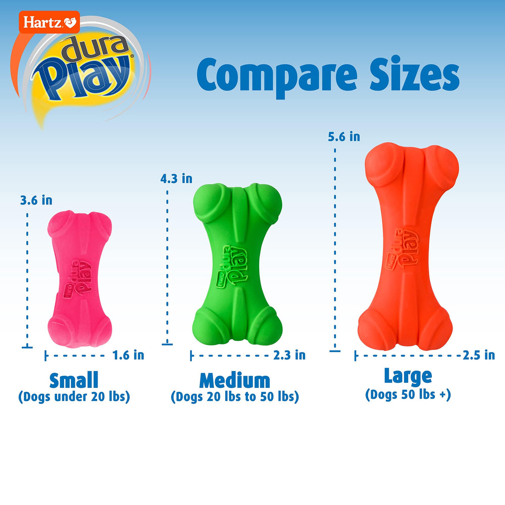 Hartz DuraPlay boomerang squeaky toy for quick returns
