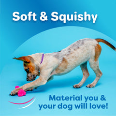 Hartz DuraPlay disc toy squeaker for interactive fetch.