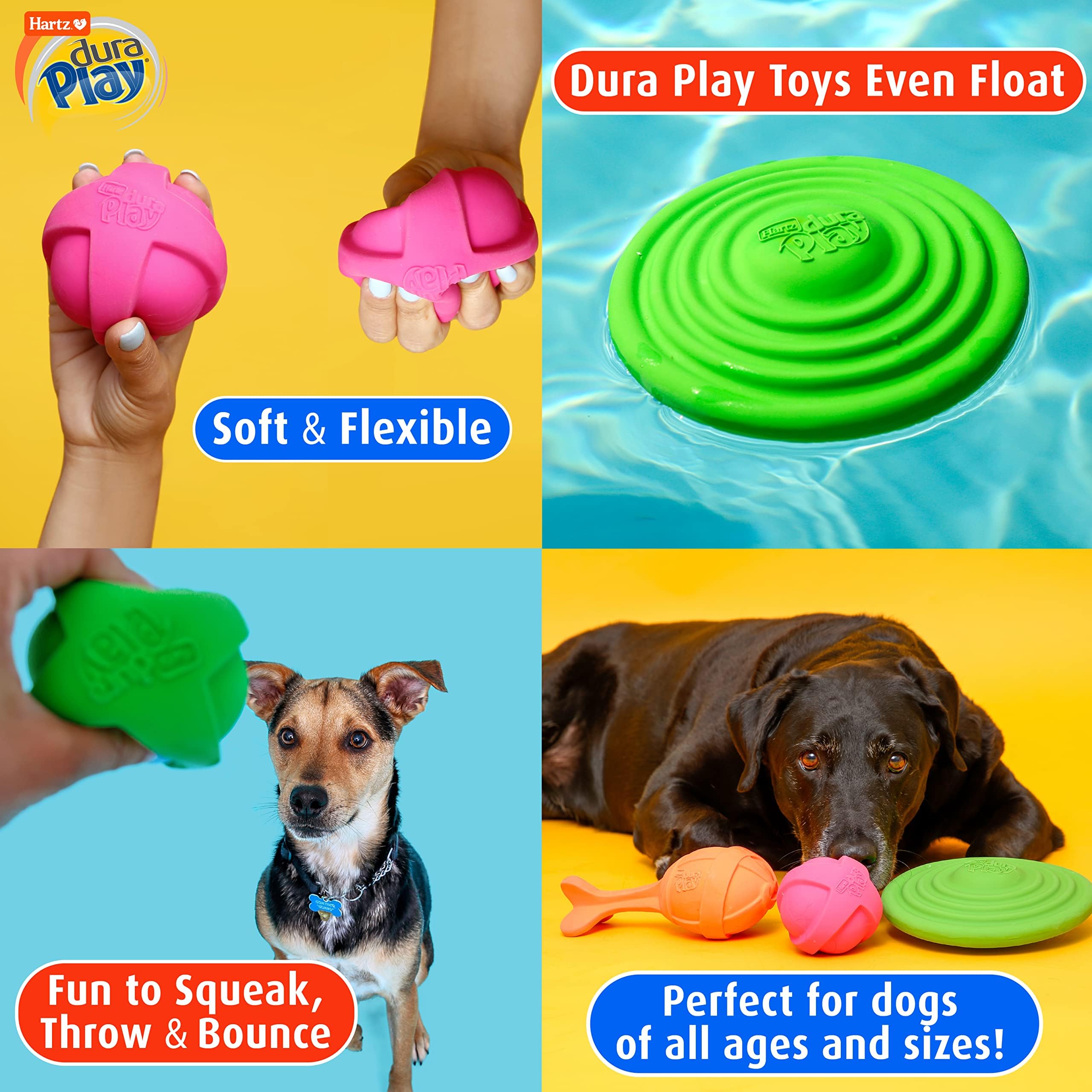 Hartz DuraPlay double tug ring squeaky toy for shared play