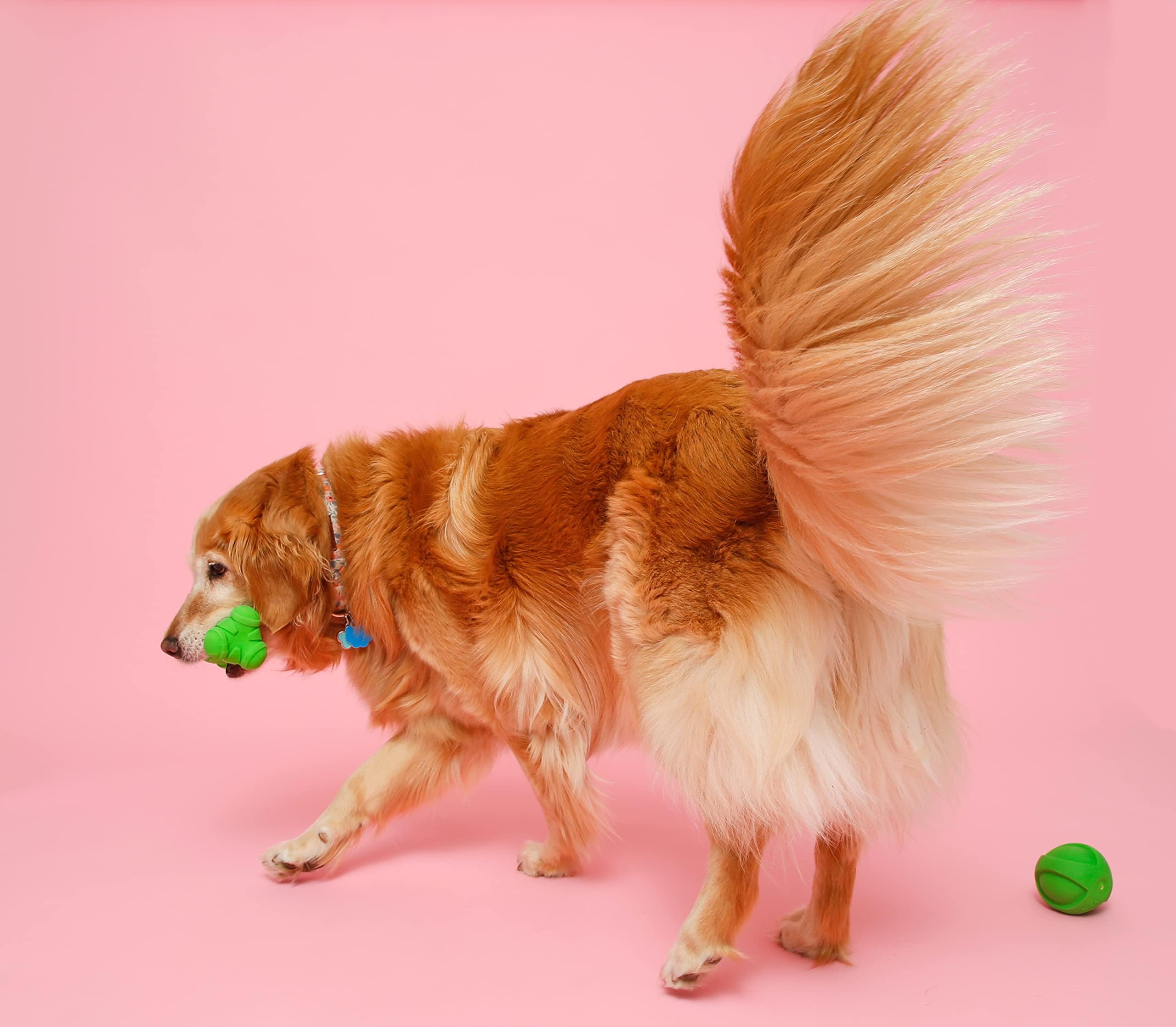 Hartz DuraPlay dumbbell squeaky toy with chew-friendly ridges