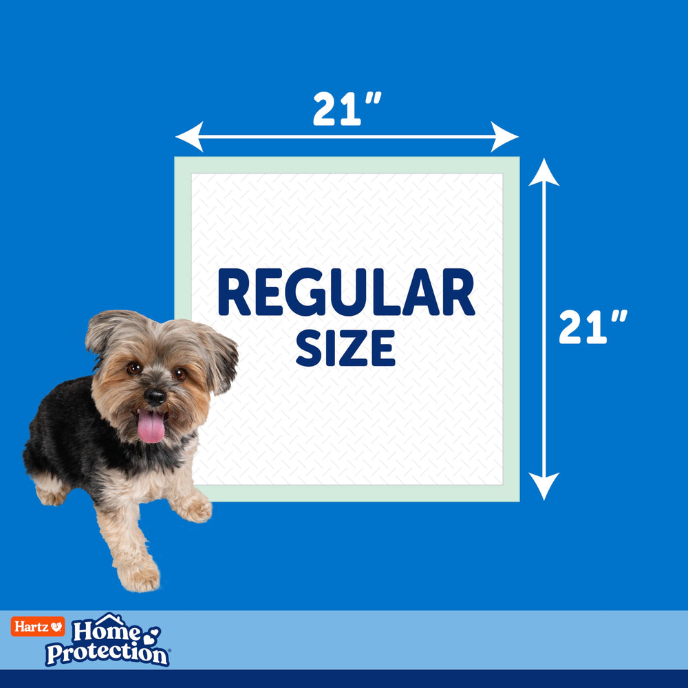 Hartz easy-cleanup pad simplifies daily pet mess management at home.