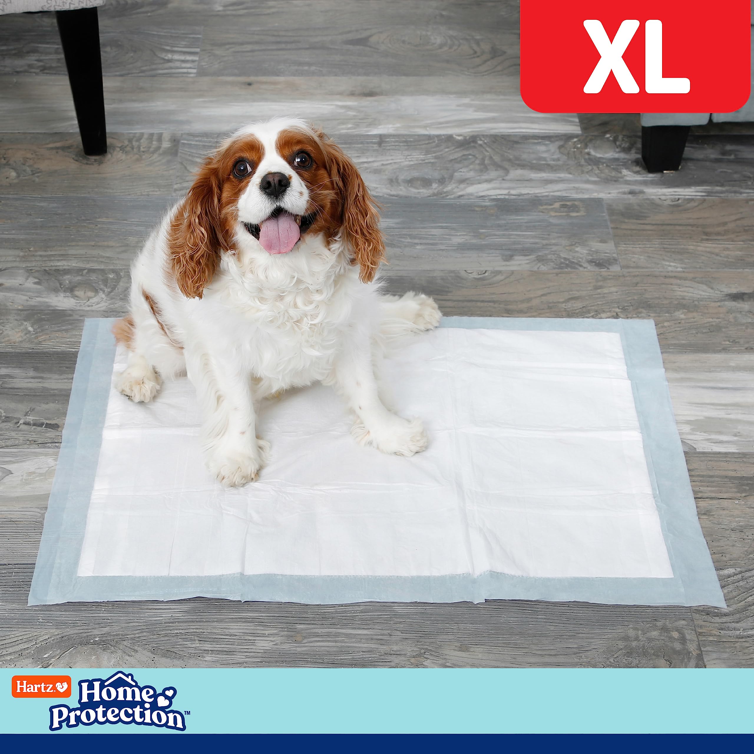 Hartz Home Protection waterproof backing protects various floor surfaces