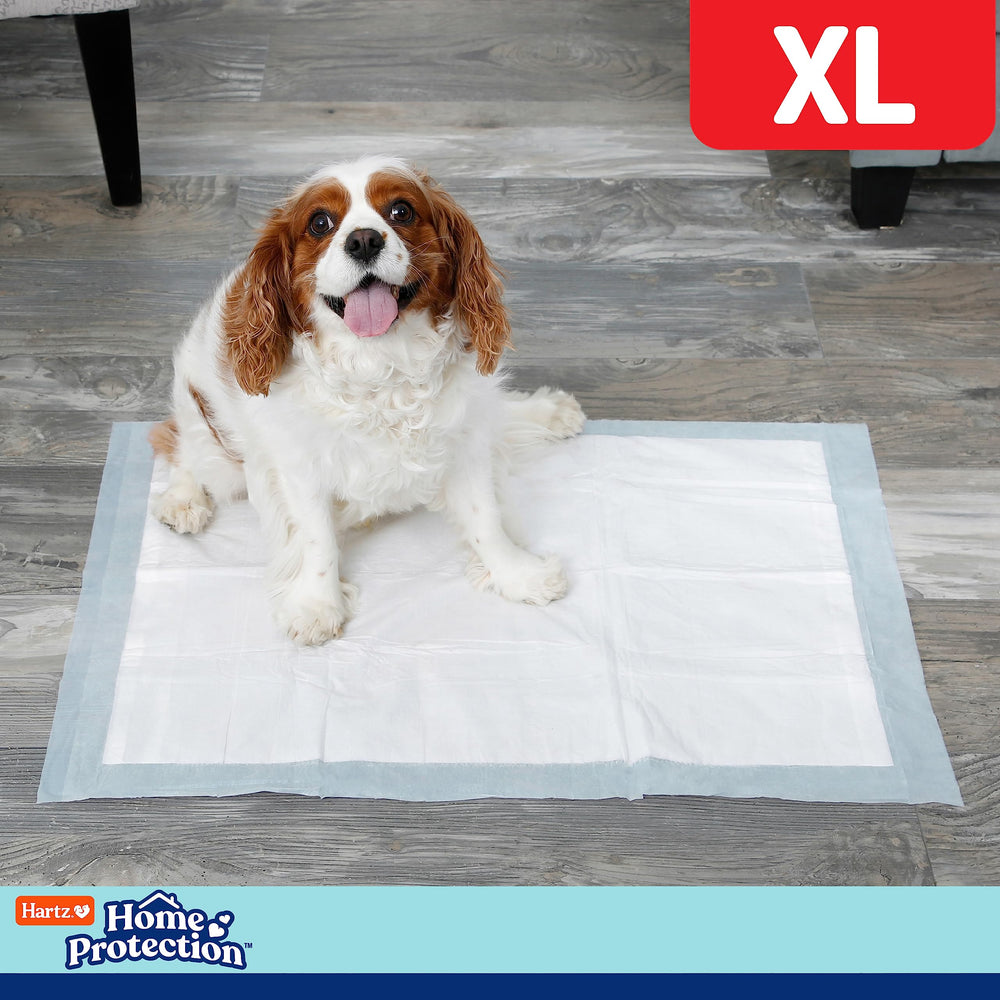 Hartz Home Protection waterproof backing protects various floor surfaces