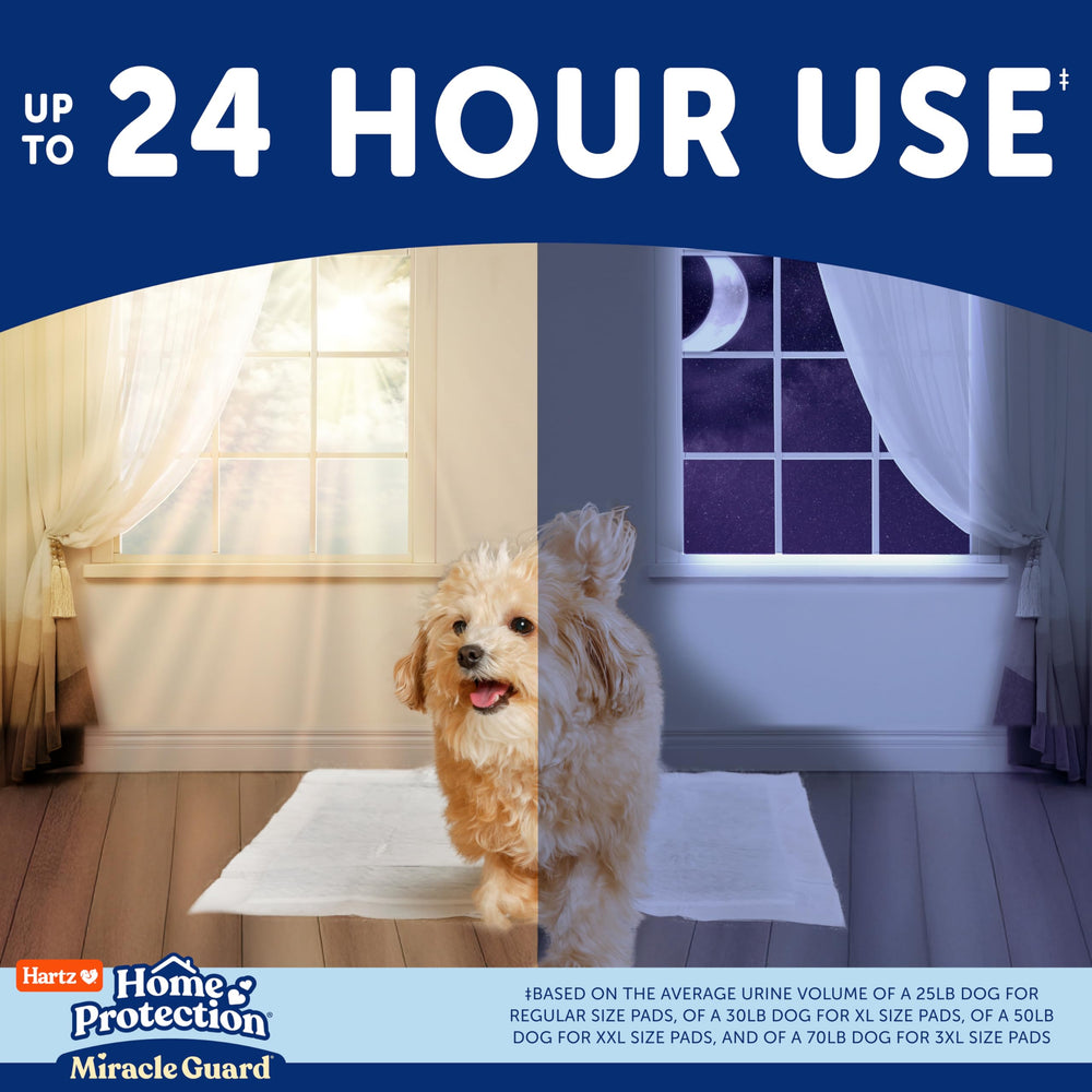 Hartz Miracle Guard 2XL pad provides overnight protection for dogs.