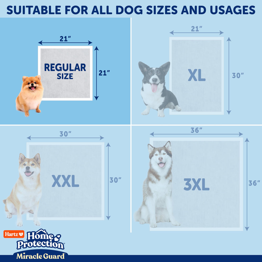 Hartz Miracle Guard box 50-count display showcases value and convenience.