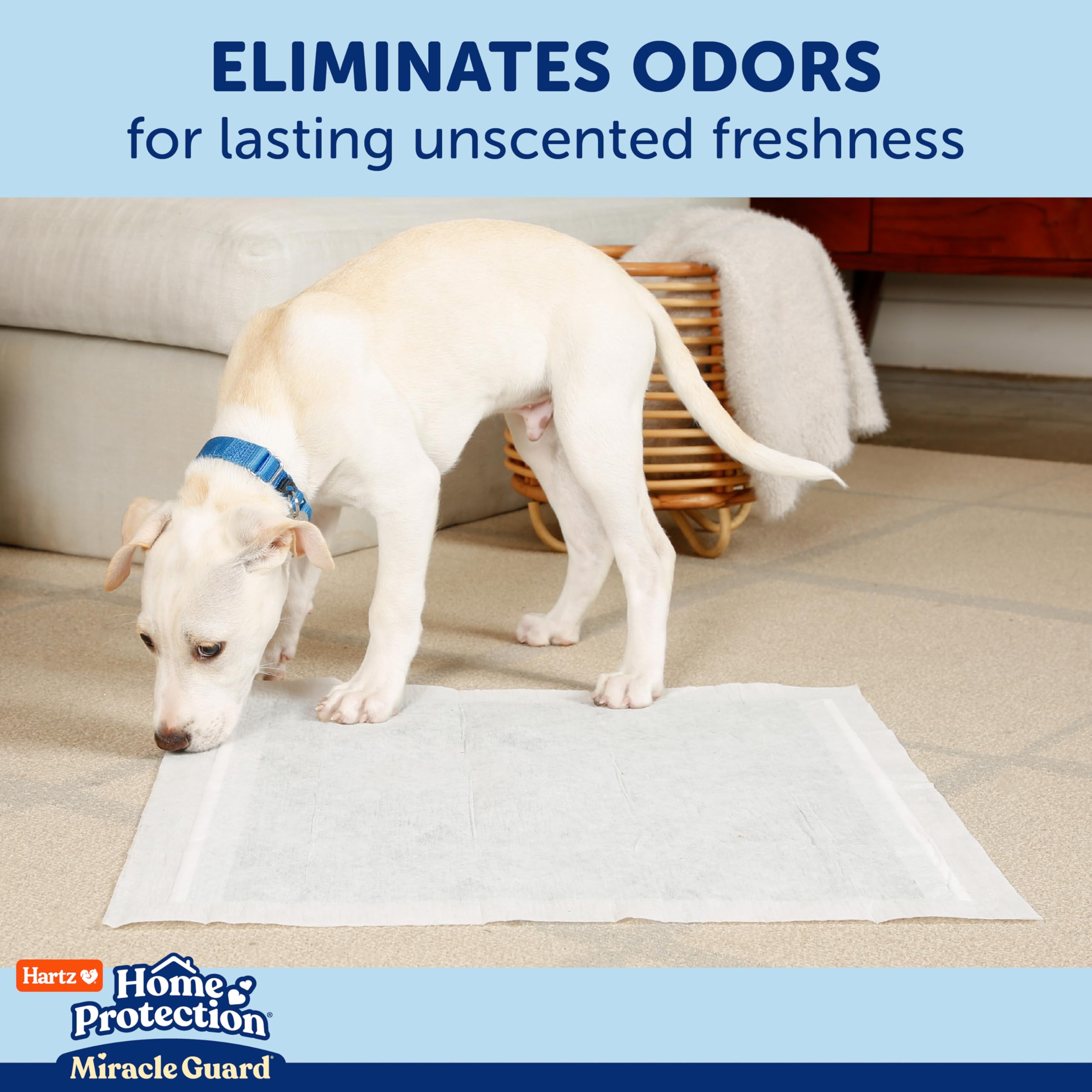 Hartz Miracle Guard odor elimination graphic emphasizes quick odor capture for freshness.