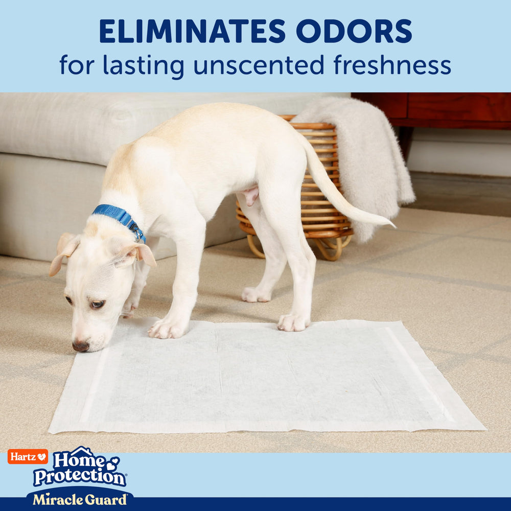 Hartz Miracle Guard odor elimination graphic emphasizes quick odor capture for freshness.
