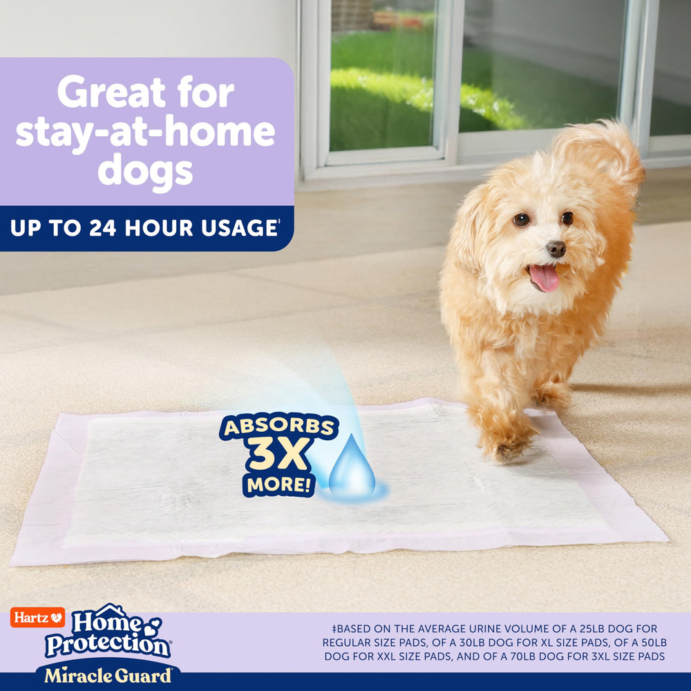 Hartz Miracle Guard Spot Concealing shows cleaner appearance as stains fade.