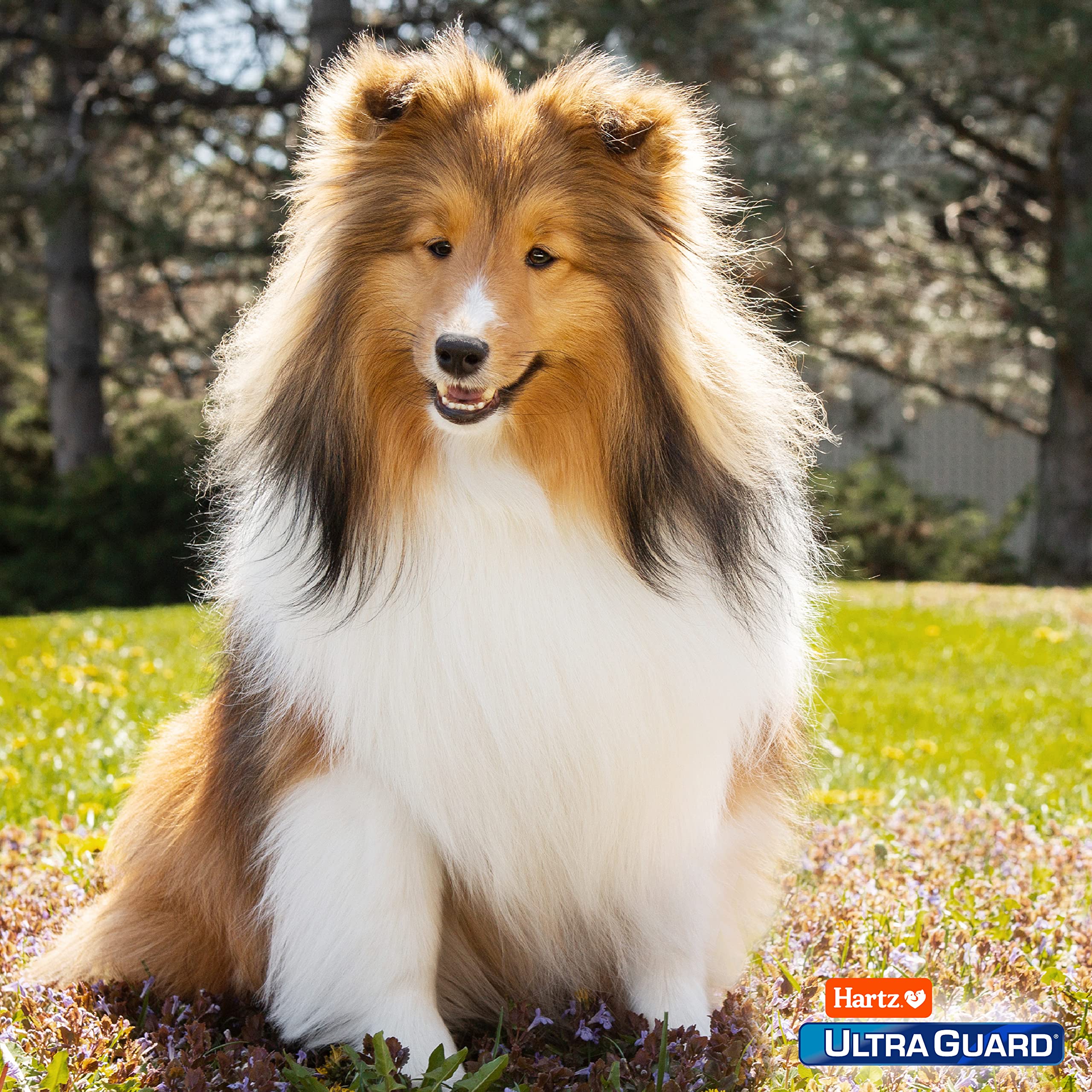 Hartz UltraGuard Pro for dogs 5-14 lbs designed for routine monthly use.