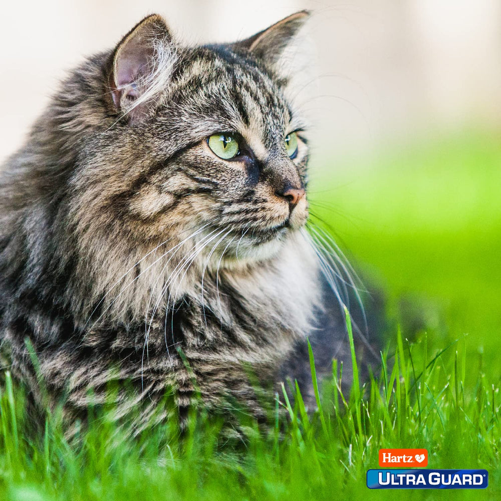 Hartz UltraGuard Pro protection against fleas, ticks and mosquitoes