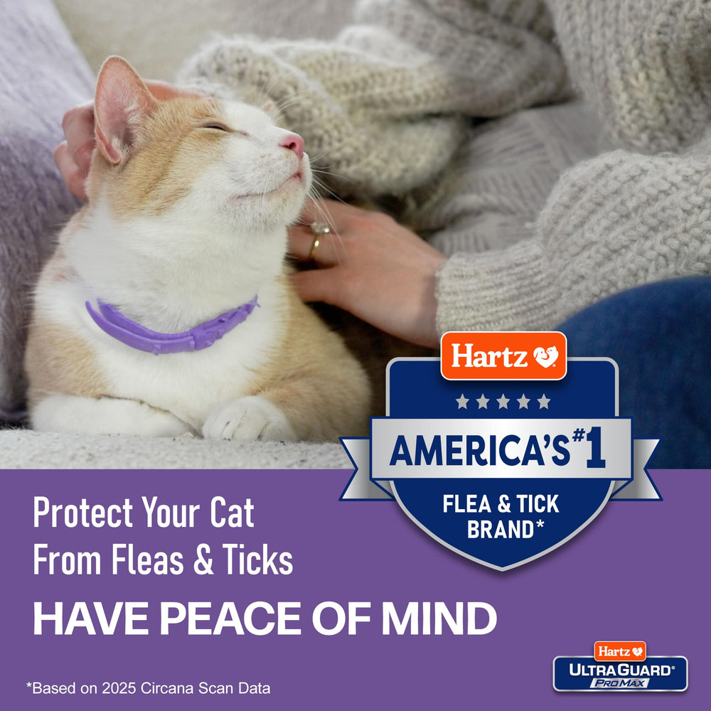 Hartz UltraGuard ProMax year-round flea and tick protection.