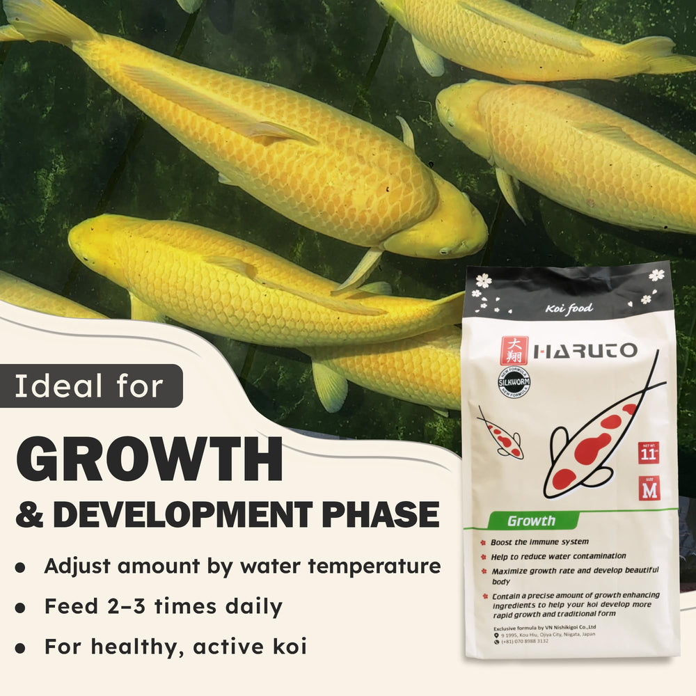 HARUTO Growth Silk Worm uses premium ingredients for daily koi feeding.