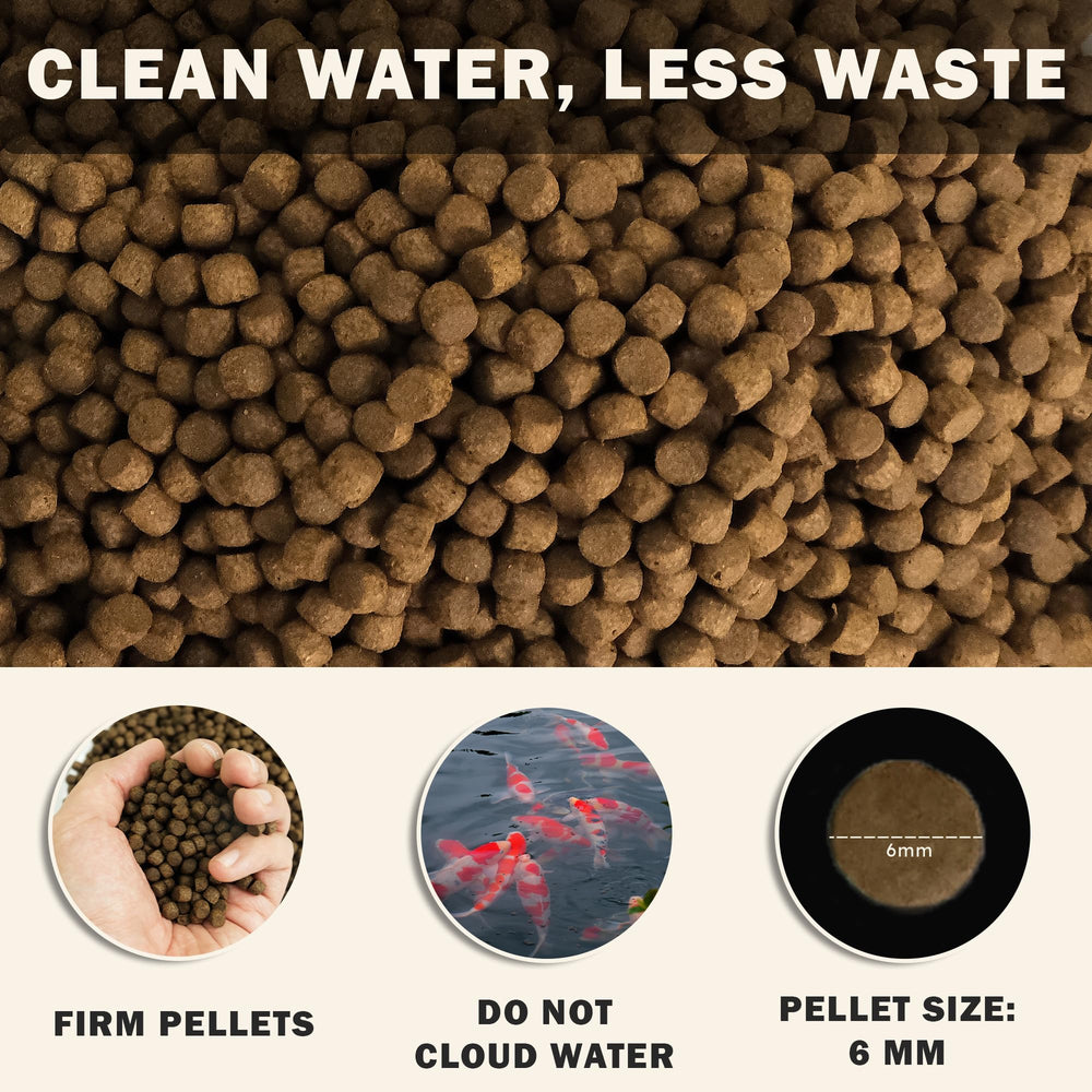 HARUTO water clarity technology keeping pond water clear during feeding.