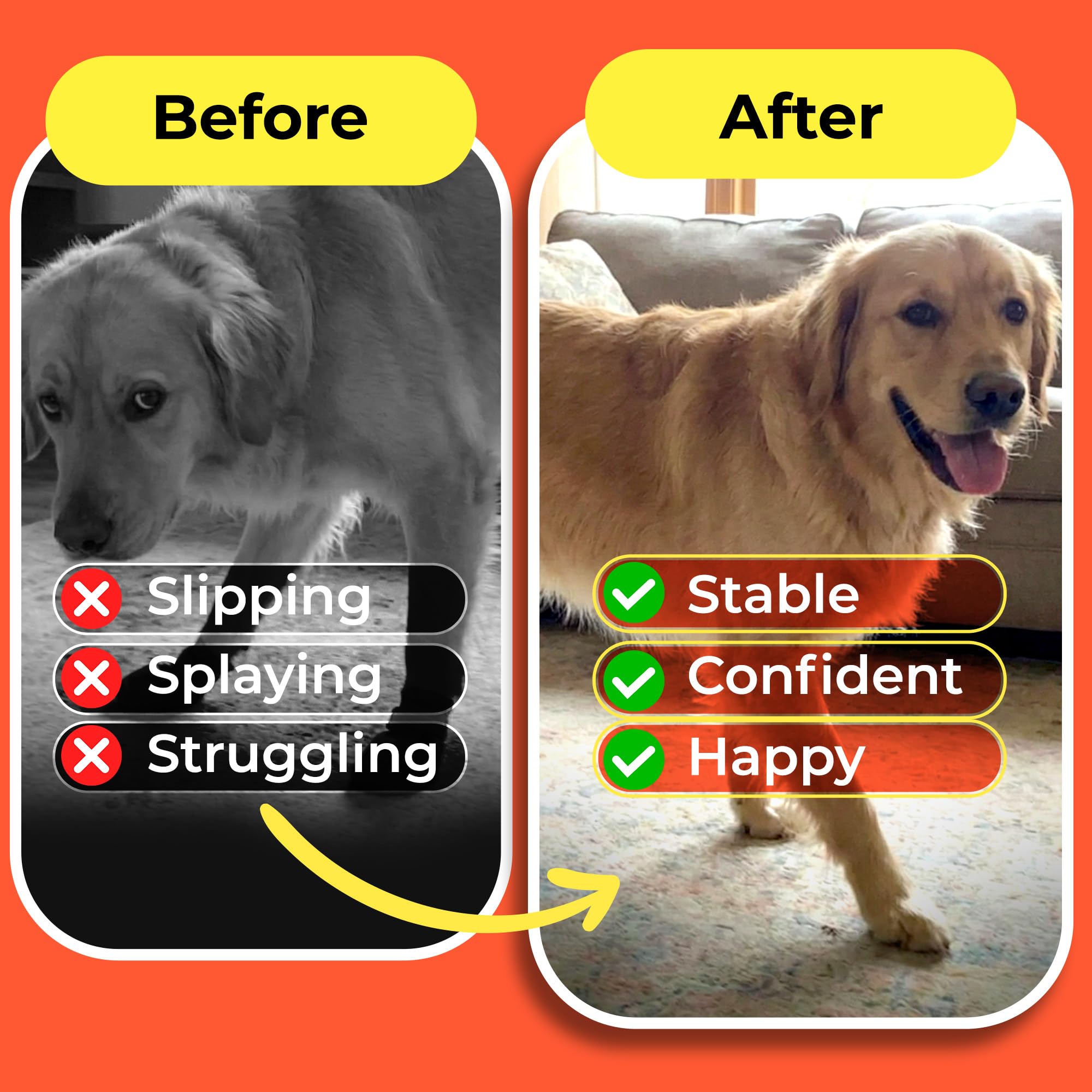 HASHI all-weather traction guards paws on hot pavements and cold surfaces
