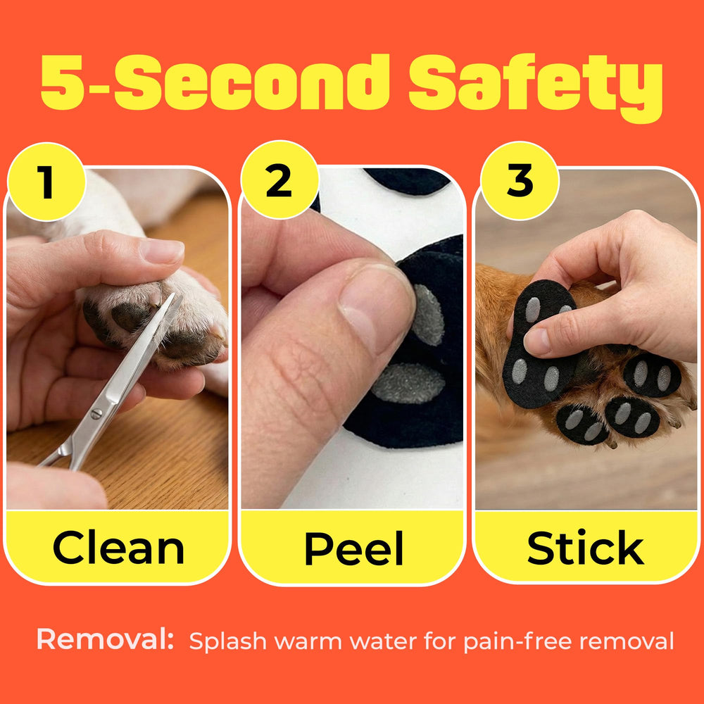 HASHI easy-apply paw grips with durable wear for daily indoor use