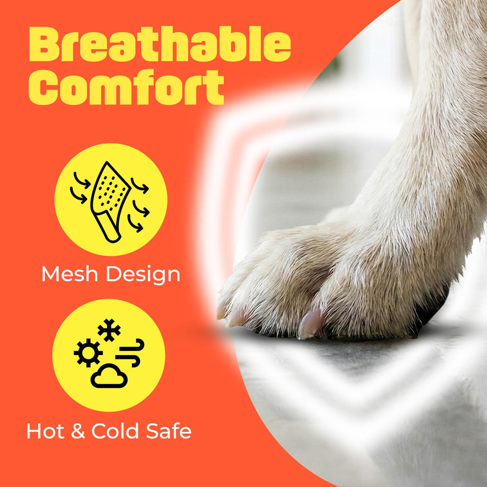 HASHI lightweight paw grips as an alternative to bulky dog shoes
