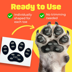 HASHI senior-dogs paw protectors promote stability on slippery floors