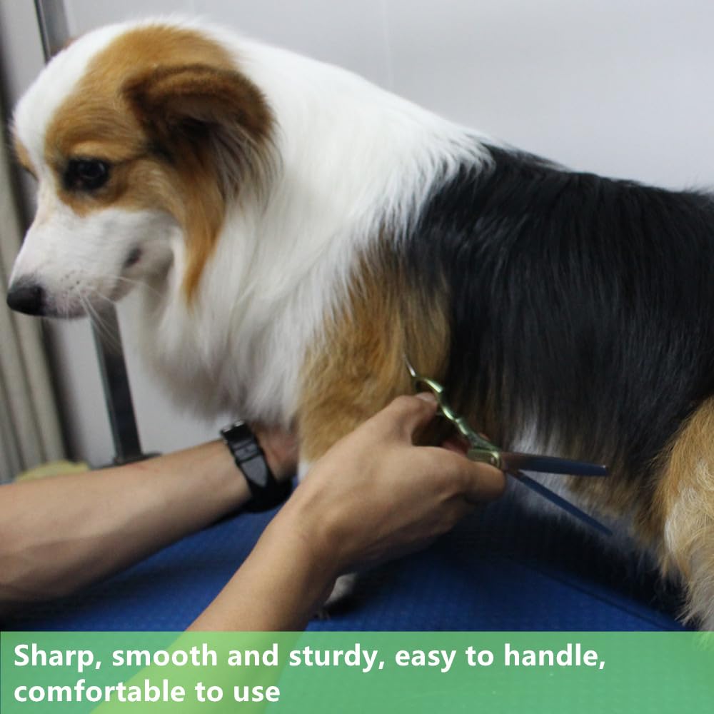 Hashimoto professional pet grooming shears in use for efficient styling.