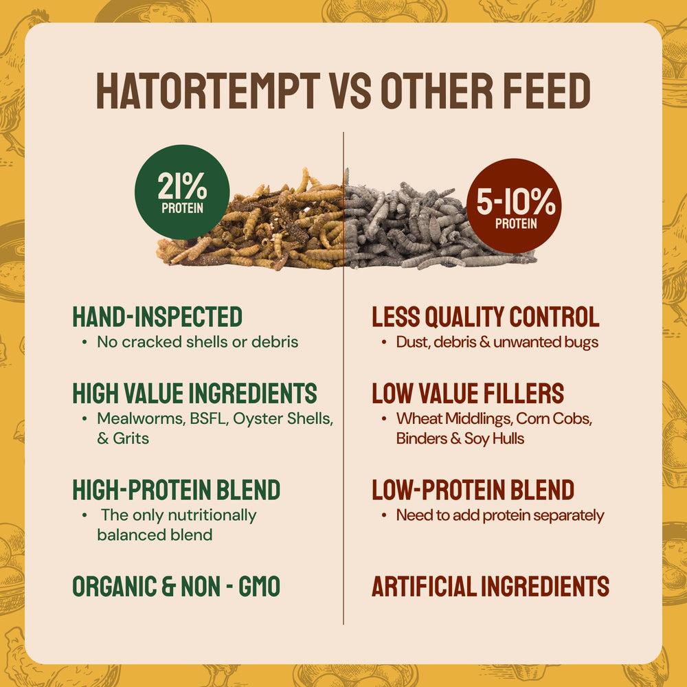 Hatortempt oyster shells and grit pictured boost calcium and digestion.