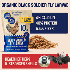 Hatortempt BSFL larvae dried bulk pile highlights calcium-rich feed