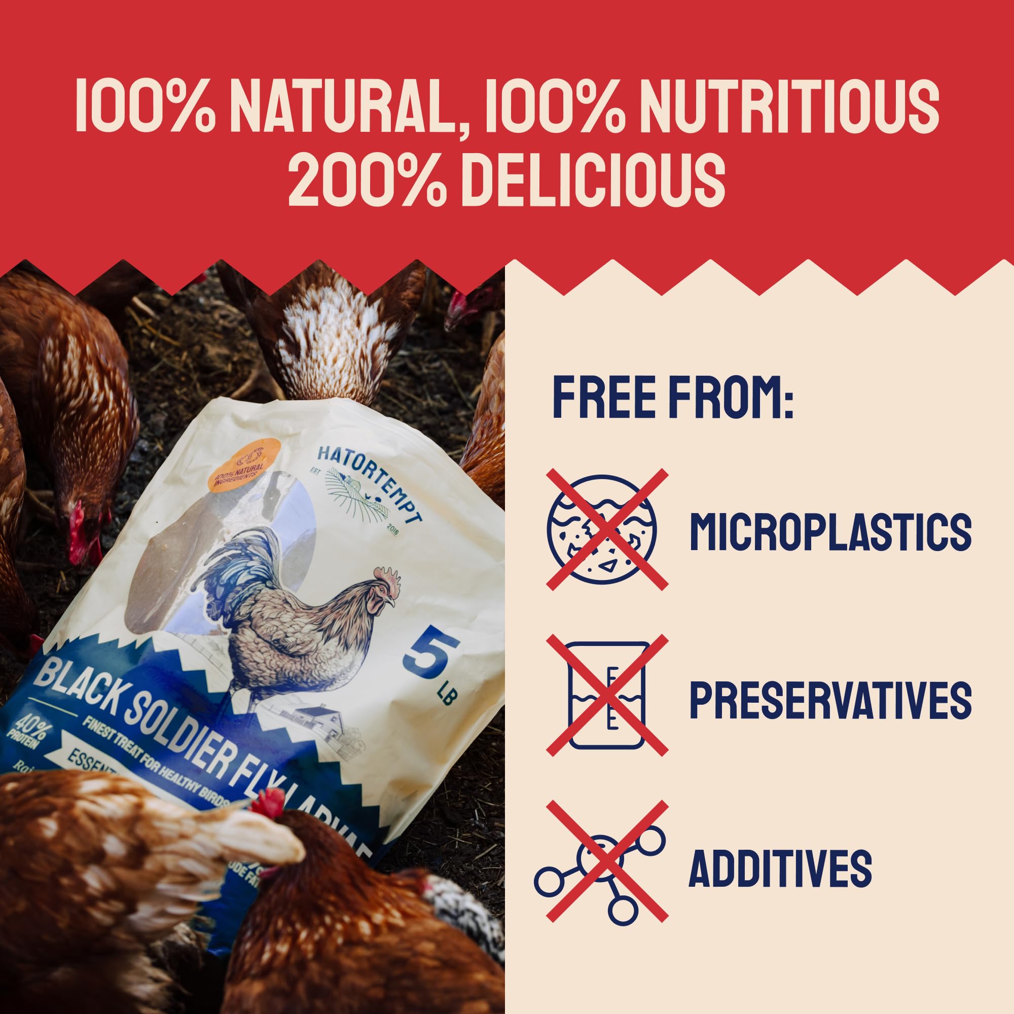 Hatortempt BSFL larvae non-GMO seal emphasizes additive-free formula