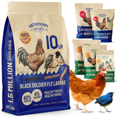 Hatortempt BSFL larvae packaging close-up shows protein-rich chicken treats