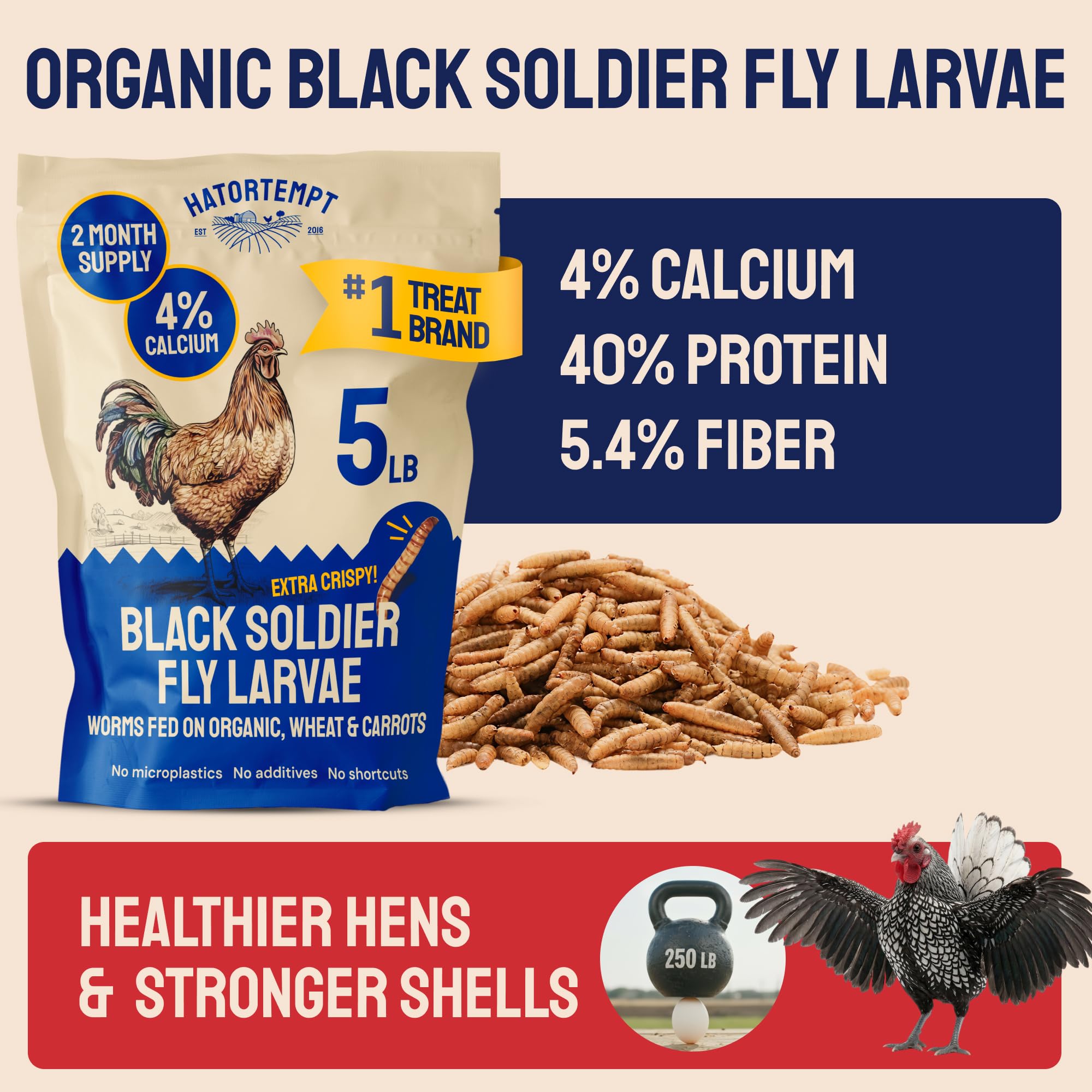 Hatortempt BSFL larvae provide high calcium for laying hens.