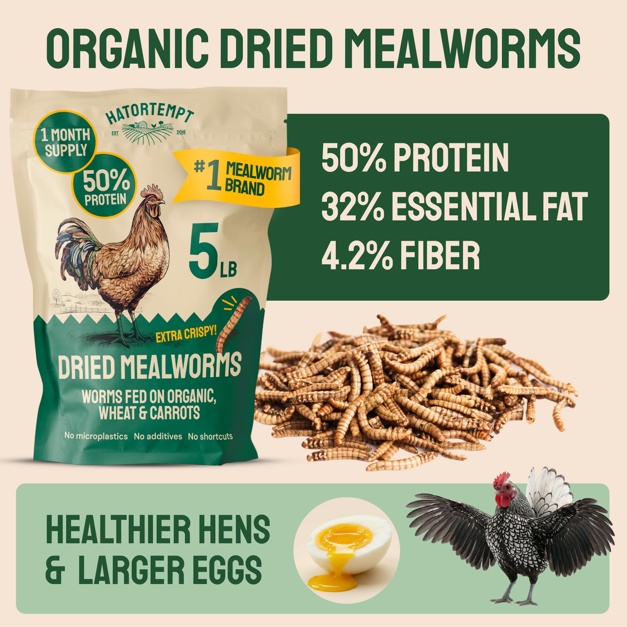Hatortempt dried mealworms closeup-crisp texture highlights high protein appeal to birds.