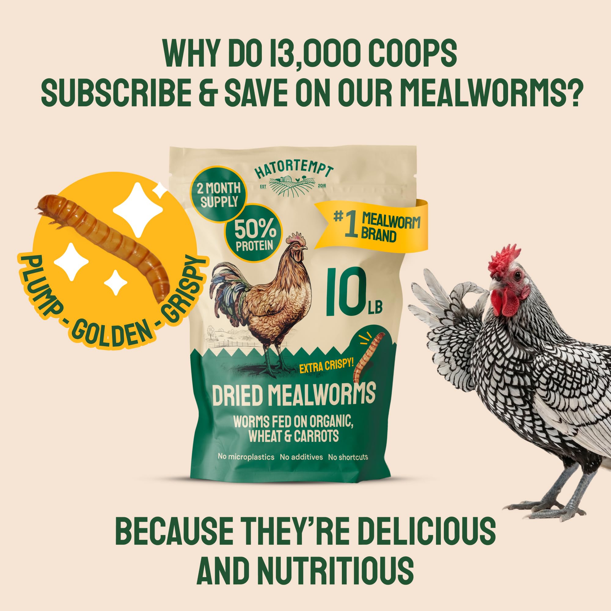 Hatortempt dried mealworms squirrel-snack illustrates a natural wildlife treat option.