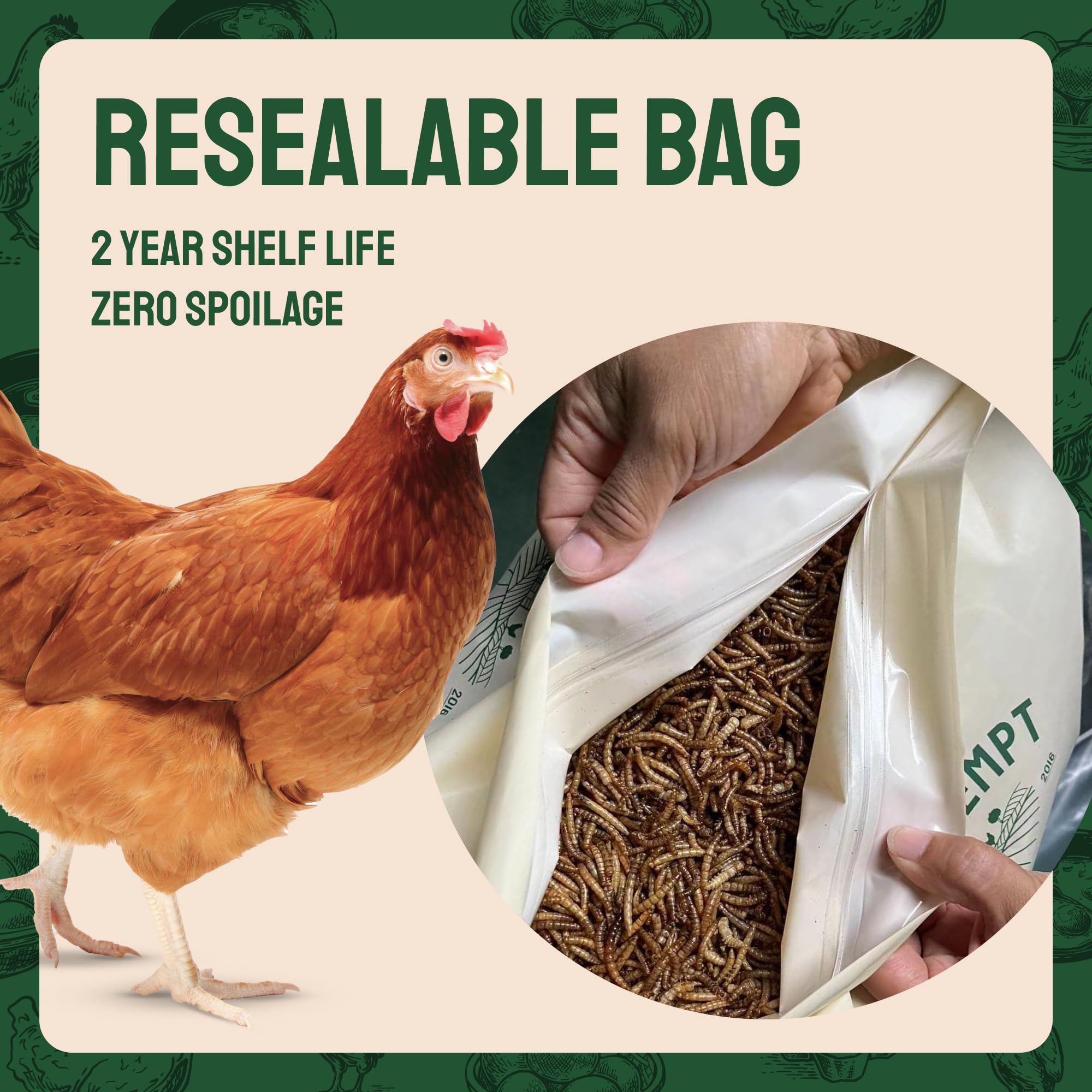 Hatortempt dried mealworms storage-bag underlines easy, cool-dry storage for long freshness.