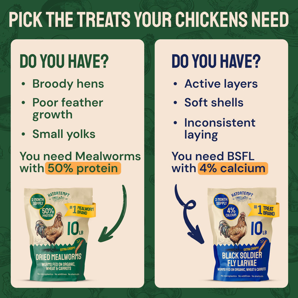 Hatortempt dried mealworms for wild birds shows versatile food for yard feeders.