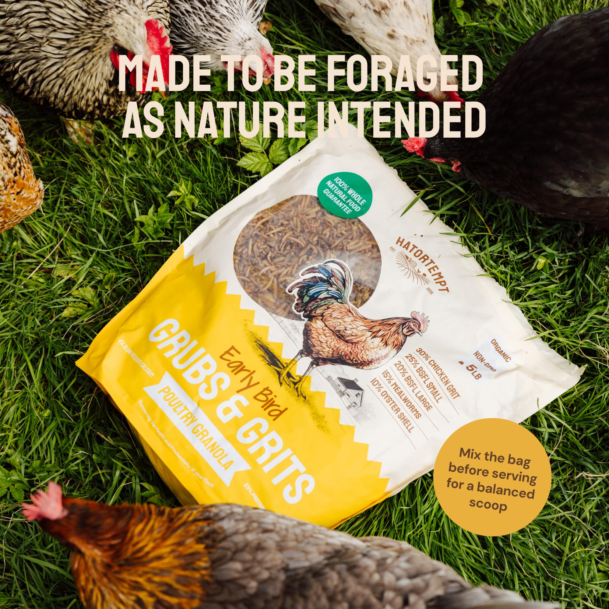 Hatortempt enrichment foraging mix encourages natural scratching and activity.