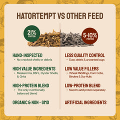 Hatortempt Grubs and Grits larvae close-up emphasizing energy-rich feed