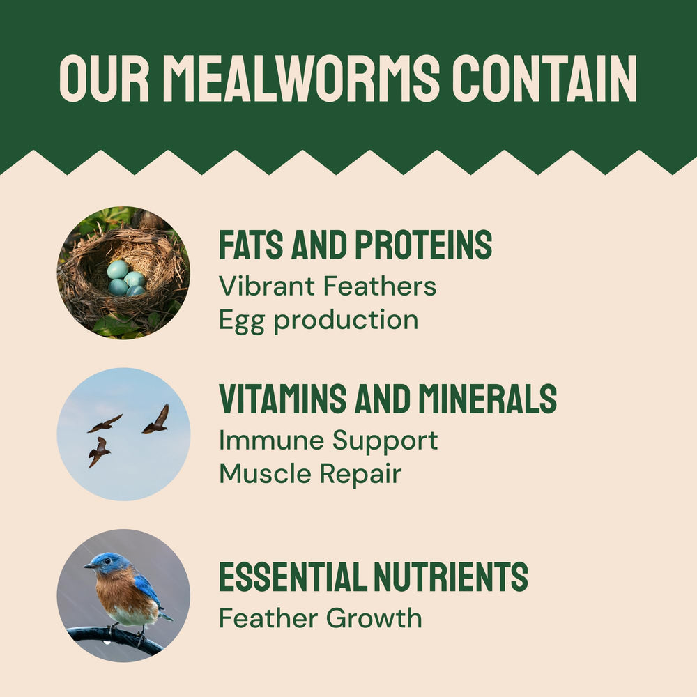 Ducks and wild birds attracted to Hatortempt mealworms