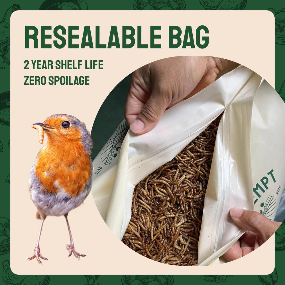 Non-GMO Hatortempt packaging label for mealworms