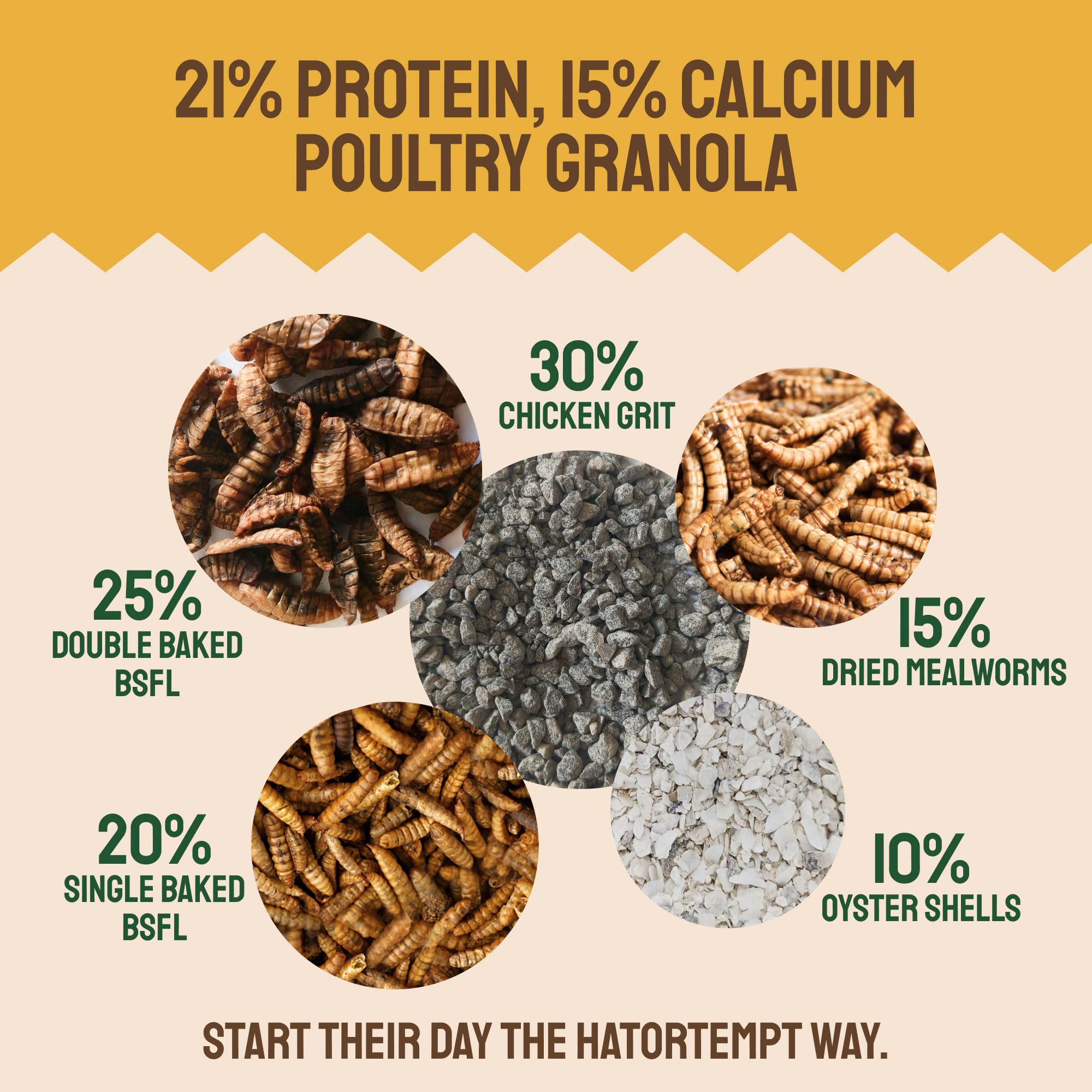 Hatortempt mealworms visible in the mix support protein for laying hens.
